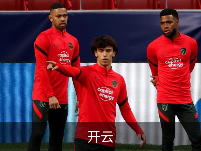 开云简介